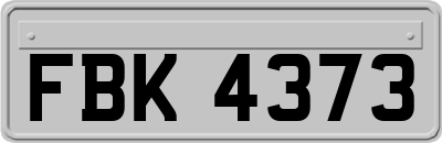 FBK4373