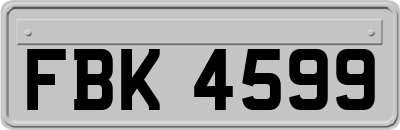 FBK4599