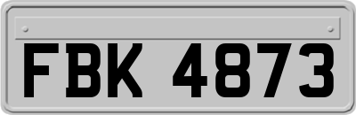 FBK4873