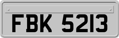 FBK5213