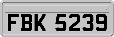 FBK5239