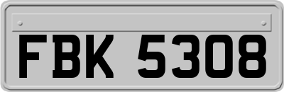 FBK5308