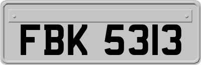 FBK5313
