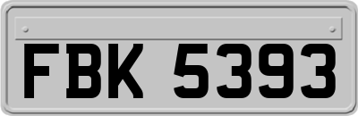 FBK5393