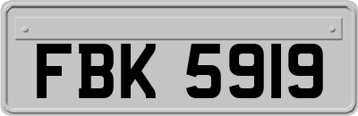 FBK5919