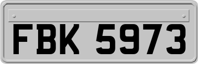 FBK5973
