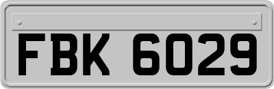 FBK6029