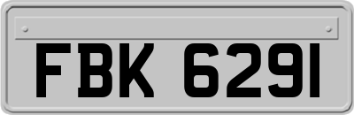 FBK6291