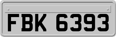 FBK6393