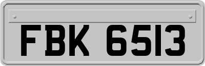 FBK6513