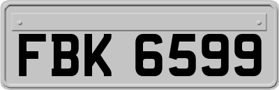 FBK6599