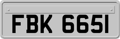 FBK6651