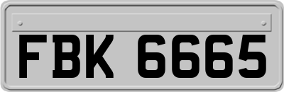 FBK6665