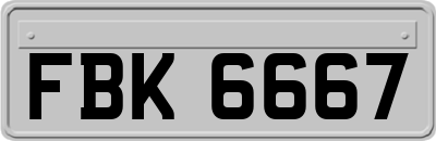 FBK6667