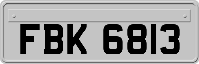 FBK6813