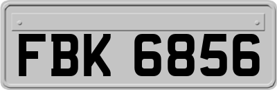 FBK6856