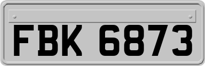 FBK6873