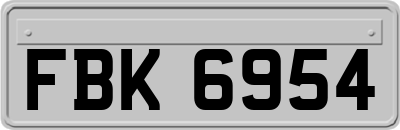 FBK6954