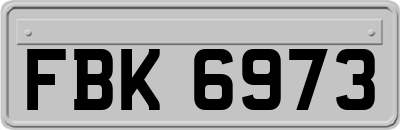 FBK6973