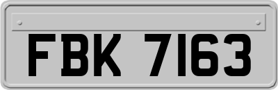 FBK7163