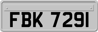 FBK7291