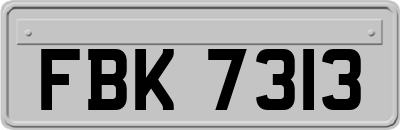 FBK7313