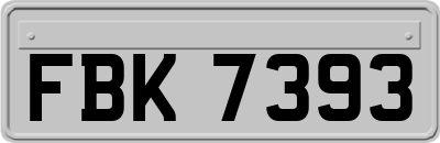FBK7393
