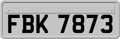 FBK7873
