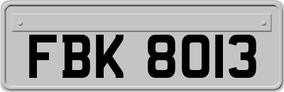 FBK8013