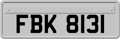 FBK8131