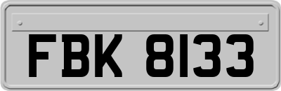 FBK8133