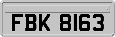 FBK8163