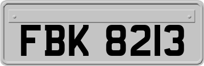 FBK8213