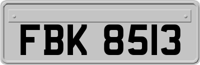 FBK8513
