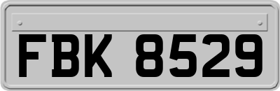 FBK8529