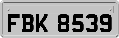 FBK8539