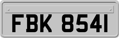 FBK8541