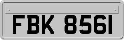 FBK8561