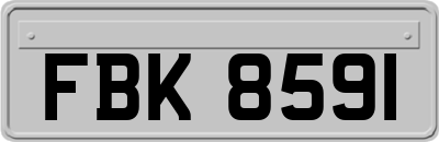 FBK8591