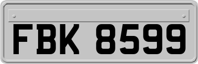 FBK8599