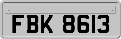 FBK8613