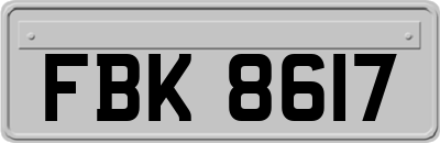 FBK8617