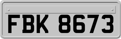 FBK8673