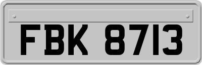 FBK8713