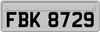 FBK8729