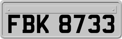 FBK8733