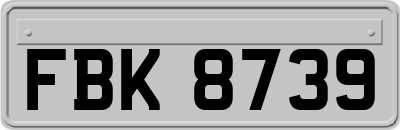 FBK8739