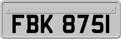 FBK8751
