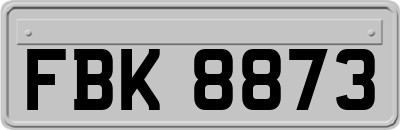 FBK8873