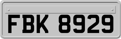 FBK8929